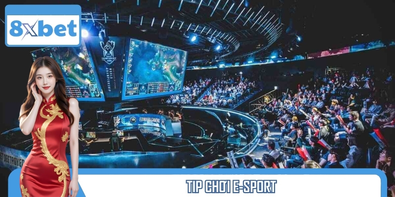 Tip Chơi E-Sport Từ Cao Thủ – Đọc Trận Đúng, Cược Chuẩn