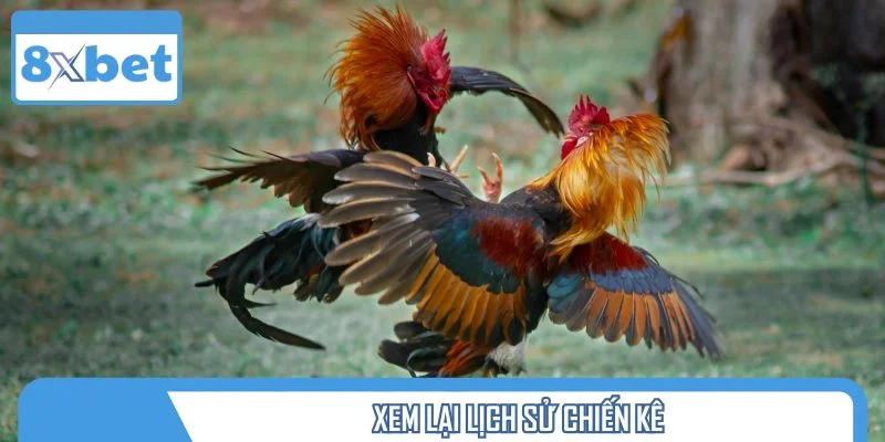 Xem lại lịch sử chiến kê
