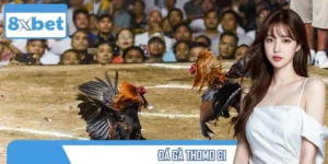 Đá Gà Thomo C1 – Giải Đấu Chiến Kê Đỉnh Cao Không Thể Bỏ Lỡ