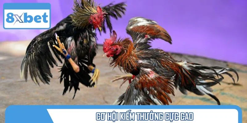 Cơ hội kiếm thưởng cực cao
