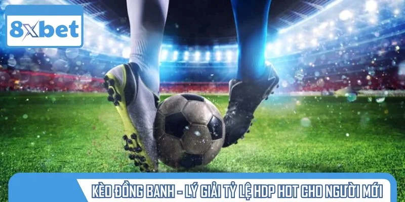 Kèo đồng banh - lý giải tỷ lệ HDP hot cho người mới
