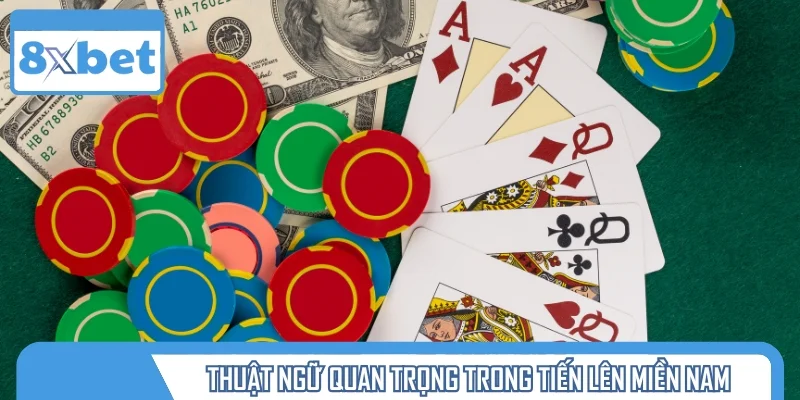 Tổng hợp những thuật ngữ TLMN phổ biến